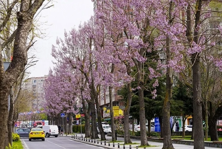 BEYLİKDÜZÜ’NDE BAHAR BAKIMI BAŞLADI PARK VE YEŞİL ALANLAR YAZA HAZIRLANIYOR