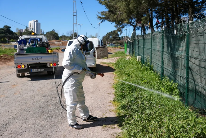 Maltepe Belediyesi Yaz Öncesi Sivrisinekle Mücadeleyi İlçe Genelinde Erken Başlattı