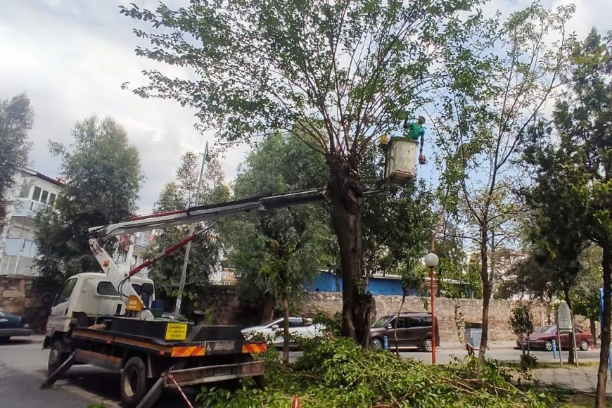 EFELER BELEDİYESİ PARK VE BAHÇELER EKİPLERİNDEN ÜÇ MAHALLEDE YOĞUN TEMİZLİK VE BAKIM ÇALIŞMASI
