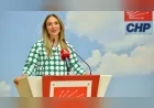 CHP Genel Başkan Yardımcısı Aylin Nazlıaka Erken Yaşta ve Zorla Evliliklere İlişkin Basın Açıklamasını Paylaştı