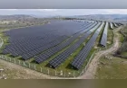 MANİSA BÜYÜKŞEHİR BELEDİYESİNE GENÇLİK İKLİM PROJELERİ İÇİN 50 BİN DOLARLIK ULUSLARARASI HİBE