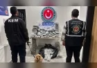 Ticaret Bakanlığı Gümrükler Muhafaza ekiplerinden son bir haftada 659 kilo uyuşturucu operasyonu