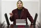 DEVA Partisi Genel Başkan Yardımcısı Elif Esen: “Devlet korumasındaki çocukları 18 yaşında kaderine terk edemeyiz”
