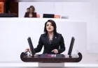 Gülcan Kış: “Varlık Barışı Kalıcı Ekonomik Çaresizliğin Göstergesi”