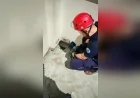 ESKİŞEHİR BÜYÜKŞEHİR BELEDİYESİ İTFAİYE EKİPLERİ KURTULUŞ MAHALLESİ YOLVEREN SOKAK’TA SU GİDER BORUSUNA DÜŞEN 3 YAVRU KEDİYİ ENDOSKOPİK KAMERA DESTEKLİ OPERASYONLA KURTARDI