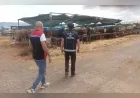 Çiğli Belediye Başkanı Onur Emrah Yıldız: “Vatandaşlarımızın sağlığı ve huzuru önceliğimiz”