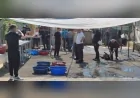 Maltepe Belediyesi Kurban Bayramı’nda kaçak kesimlere karşı denetimlerini artırdı