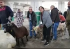 Tepebaşı Belediyesi Kurban Bayramı’nda Ücretsiz ve Hijyenik Kesim Hizmeti Sundu
