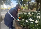 Bursa Büyükşehir Belediyesi park ve yeşil alanları bayram ve yaz sezonuna hazırladı