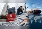 Ticaret Bakanlığı: “2025 Yılında 133 Ülkeye 2,2 Milyar Dolarlık Su Ürünleri İhracatı Gerçekleştirdik”