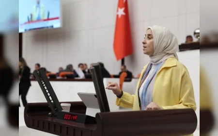 DEVA Partisi Genel Başkan Yardımcısı Elif Esen: “Fahiş aidat düzenlemesi vatandaşa gerçek güvence sunmuyor”