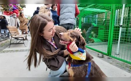 KONAK BELEDİYESİ SAHİPLENDİRME ETKİNLİĞİNDE 11 KEDİ VE KÖPEK YENİ YUVALARINA KAVUŞTU
