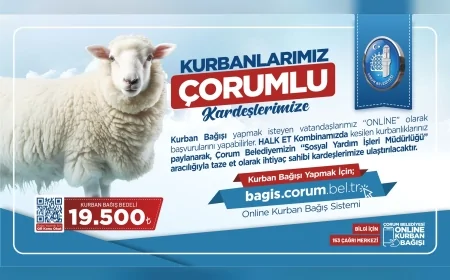 Çorum Belediyesi Kurban Bağış Kampanyasını Başlattı İhtiyaç Sahiplerine Taze Et Ulaştırılacak