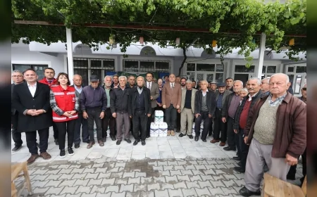 MUĞLA BÜYÜKŞEHİR BELEDİYESİ ÇAM FISTIĞINDA VERİM KAYBINA KARŞI DOĞAL İLAÇLA SAHADA MÜCADELE BAŞLATTI