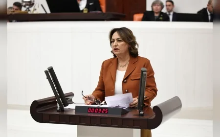 CHP Adana Milletvekili Dr. Müzeyyen Şevkin: “Tapu Kanunu teklifiyle jeoloji mühendisliği yok sayılıyor”
