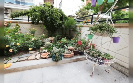 Karşıyaka Belediyesi 23’üncü En Güzel Balkon Bahçe Yarışması için başvuruları sürdürüyor