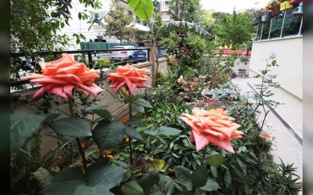 Karşıyaka Belediyesi 23’üncü En Güzel Balkon Bahçe Yarışması için başvuruları almaya başladı