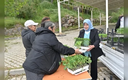 Bornova Belediyesi kırsal mahallelerde üreticilere 150 bin yazlık sebze fidesi dağıttı