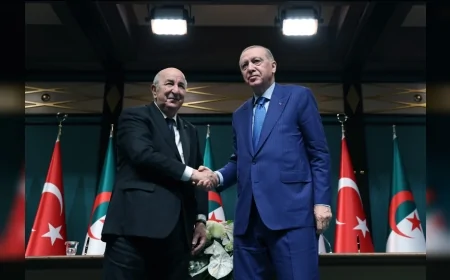 Cumhurbaşkanı Recep Tayyip Erdoğan: “Cezayir ile iş birliğimizi birçok stratejik alanda geliştirmekte kararlıyız”