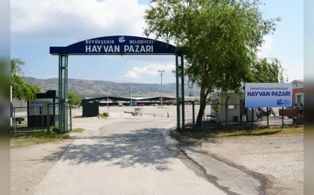 ESKİŞEHİR BÜYÜKŞEHİR BELEDİYESİ HAYVAN PAZARINDA KURBAN BAYRAMI ÖNCESİ YER SATIŞLARINI BAŞLATTI KAPILAR 11 MAYIS’TA AÇILACAK