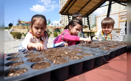 Çankaya Belediyesi’nin Minik Bahçıvanları Mısır ve Ayçiçeği Tohumlarını Toprakla Buluşturdu