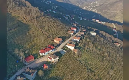 Ordu Büyükşehir Belediyesi Aybastı’da Heyelan Riskine Karşı Taş Duvar Çalışması Yaptı