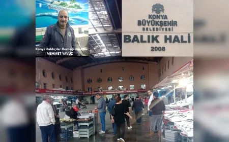 Konya Balık Hali Esnafı: “Teknolojinin Gelişmesiyle Balığa Olan İlgi Belirgin Şekilde Arttı”