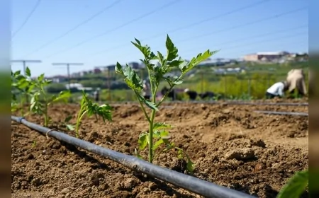 Beylikdüzü Belediye Başkan Vekili Av. Önder Serkan Çebi: “Vatandaşımızın sofrasına ulaşabiliyorsak ne mutlu bize”