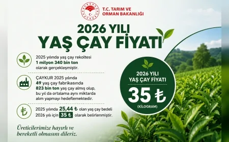 Tarım ve Orman Bakanlığı 2026 yılı yaş çay alım fiyatının 35 lira olarak belirlendiğini açıkladı