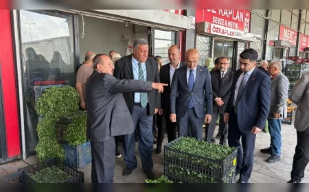 CHP Niğde Milletvekili Ömer Fethi Gürer: “Dışa bağımlılık tarımda üreticiyi ve vatandaşı zorluyor”