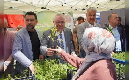 Edremit Belediyesi 2 Bin Ata Tohumu Fidesini Vatandaşlara Ücretsiz Dağıttı