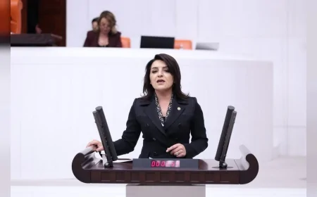 Gülcan Kış: “Varlık Barışı Kalıcı Ekonomik Çaresizliğin Göstergesi”