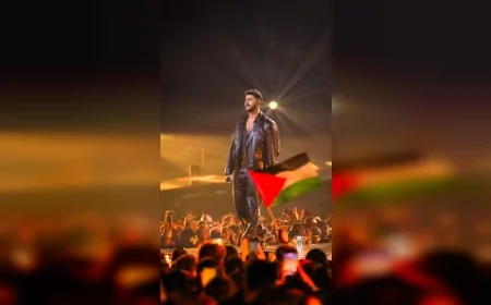 2026 Eurovision Finalinde İsrail Temsilcisi Sahnedeyken Açılan Filistin Bayrakları Aynı Kareye Yansıdı