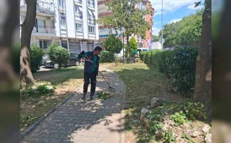 Efeler’de park ve yeşil alanlarda bakım çalışmaları sürüyor, mahalle parkları yenileniyor