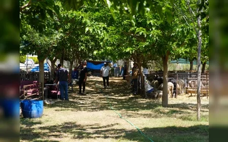 Seferihisar Belediye Başkanı İsmail Yetişkin: “Bu bayram Seferihisar’da iyiliği büyütelim, sofralara bereket taşıyalım”