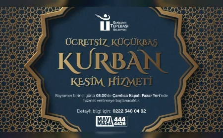 Tepebaşı Belediyesi Kurban Bayramı İçin Çamlıca Kapalı Pazar Yeri’nde Kesim Alanını Hazırladı