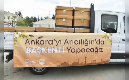 Ankara Büyükşehir Belediyesi’nden Arıcılığa 21 Milyon TL’lik Destek Programı Kapsamında 5 Bin Arı Kovanı Dağıtımı
