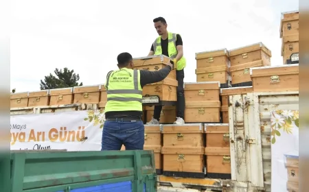 Ankara Büyükşehir Belediyesi’nden Arıcılığa 21 Milyon TL’lik Destek Programı Kapsamında 5 Bin Arı Kovanı Dağıtımı