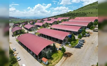 Altındağ Belediye Başkanı Dr. Veysel Tiryaki: “Kurban Satış ve Kesim Alanımızda denetimlerimizi artırdık”