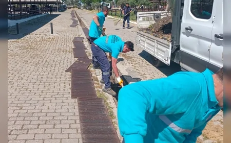 Efeler Belediyesi Çeştepe Hayvan Pazarı’nda Kurban Bayramı Öncesi Çalışmalarını Yoğunlaştırdı