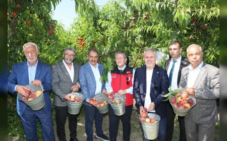 Ege Yaş Meyve Sebze İhracatçıları Birliği Başkanı Cengiz Balık: “Şeftali ve nektarin ihracatında 250 milyon dolar hedefliyoruz”