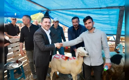 Nevşehir Belediye Başkanı Rasim Arı Kurban Bayramı öncesi hayvan pazarını ziyaret etti