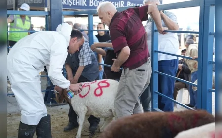 Eskişehir Büyükşehir Belediyesi Kurban Bayramı için hijyenik kesim alanı hazırlıklarını tamamladı