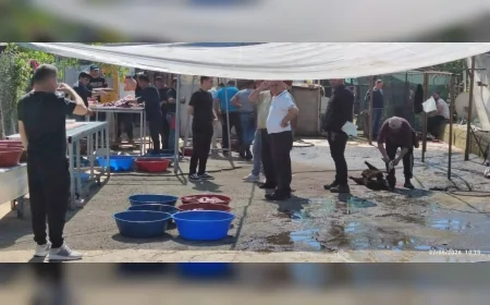 Maltepe Belediyesi Kurban Bayramı’nda kaçak kesimlere karşı denetimlerini artırdı