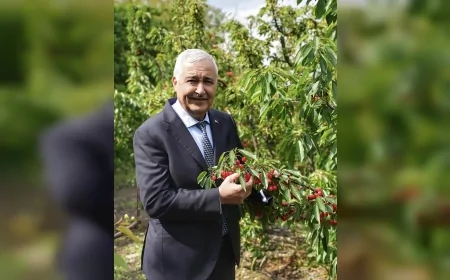 KEMALPAŞA BELEDİYE BAŞKANI MEHMET TÜRKMEN: “FESTİVAL COŞKUSUNU HEP BİRLİKTE YAŞAYACAĞIZ” ALTIN KİRAZ KÜLTÜR VE SANAT FESTİVALİ 1-7 HAZİRAN TARİHLERİ ARASINDA KONSER VE ETKİNLİKLERLE BAŞLIYOR
