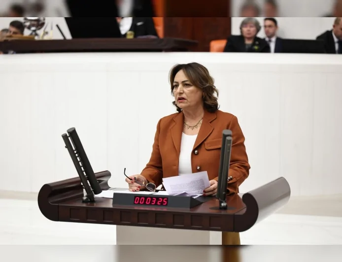 CHP Adana Milletvekili Dr. Müzeyyen Şevkin: “Tapu Kanunu teklifiyle jeoloji mühendisliği yok sayılıyor”