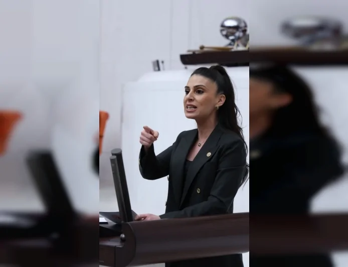 CHP Muğla Milletvekili Av. Gizem Özcan: “Akçay Deresi için çevreyle uyumlu alternatif yöntemler değerlendirilmeli”