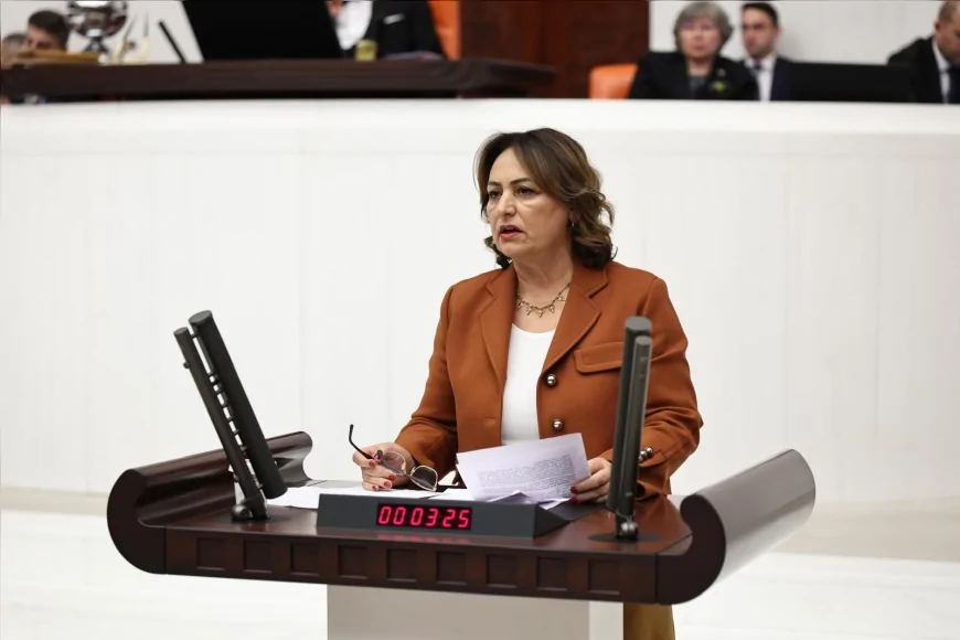 CHP Adana Milletvekili Dr. Müzeyyen Şevkin: “Tapu Kanunu teklifiyle jeoloji mühendisliği yok sayılıyor”