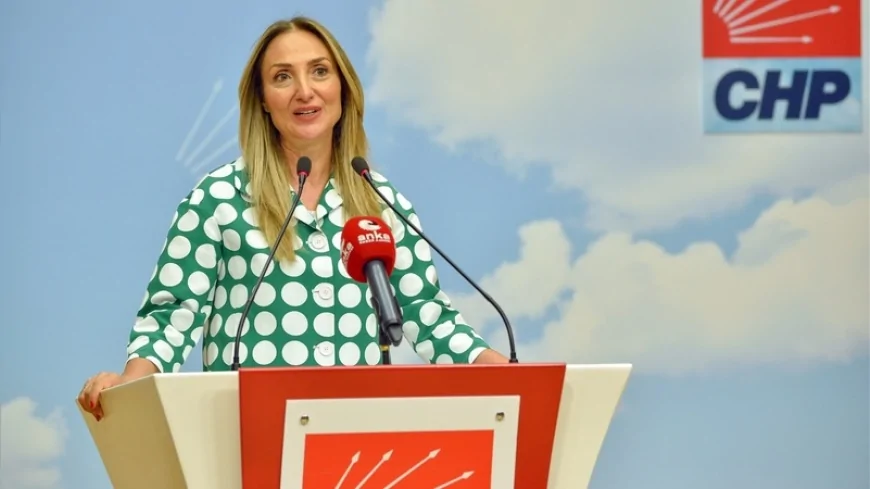 CHP Genel Başkan Yardımcısı Aylin Nazlıaka Erken Yaşta ve Zorla Evliliklere İlişkin Basın Açıklamasını Paylaştı