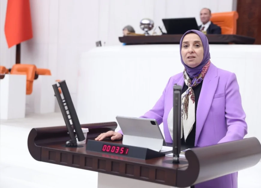 DEVA Partisi Genel Başkan Yardımcısı Elif Esen: “Kurşun görünmüyor ama çocukların beyninde kalıcı iz bırakıyor”